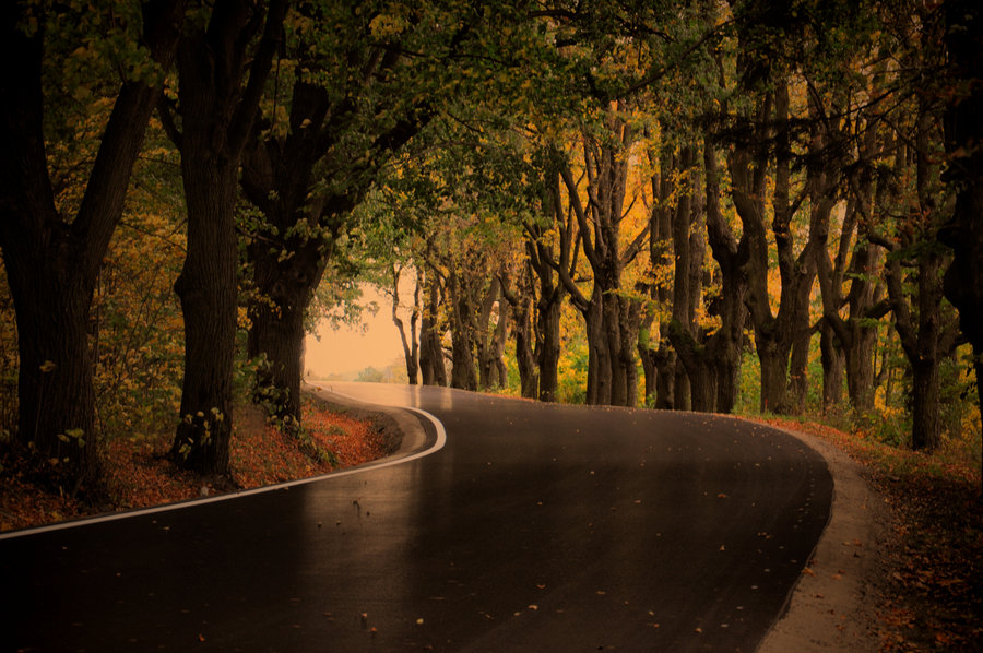 Autumn Road by Tomsumartin