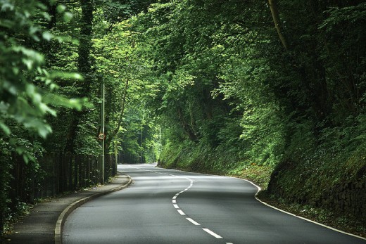 The Leafy Road To Llantrisant