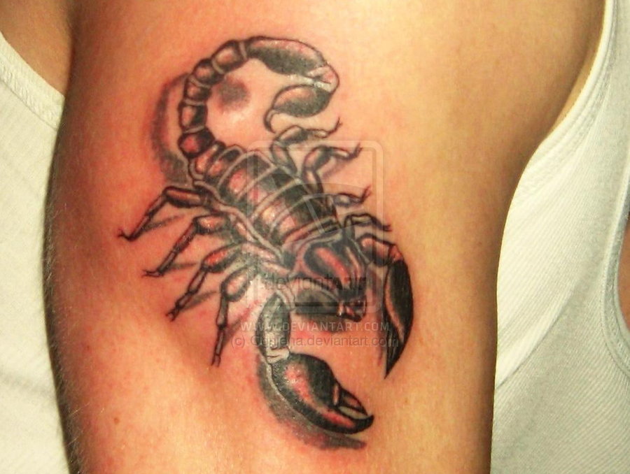6439 Scorpion Tattoo Images Stock Photos  Vectors  Shutterstock