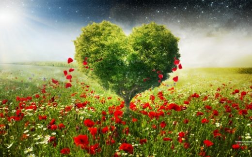 Green Love Heart Tree Poppies
