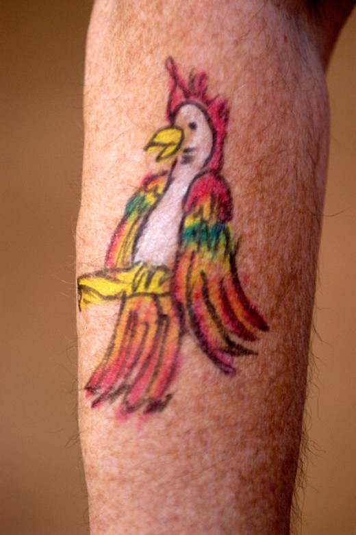 Atticus Tattoo - Beautiful bird by Sheldon! ATTICUS TATTOO 403-719-6661  atticustattoo@gmail.com #AtticusTattoo #YYCTattoo #CalgaryTattoo  #CalgaryTattooShops #CalgaryTattooArtists #Calgary #Alberta #Art #Artists  #TattooArtists #Tattooists #BestTattoos ...